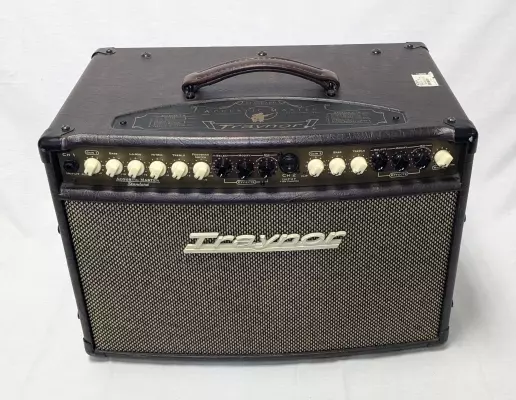 Traynor - AM Standard 2-Channel Stereo Acoustic Guitar Amp - 150 Wat